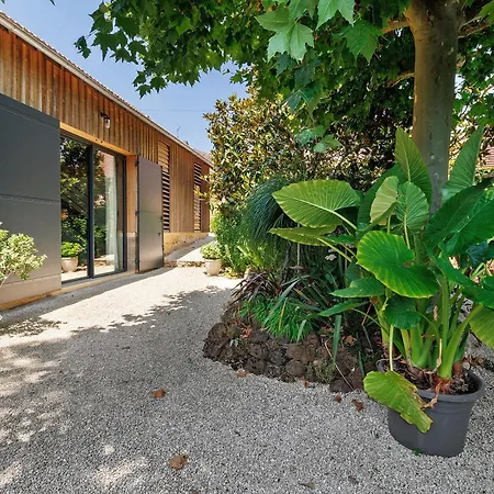 Pour 6 Personnes Avec Piscine Hébergement de vacances Veyrines-de-Domme